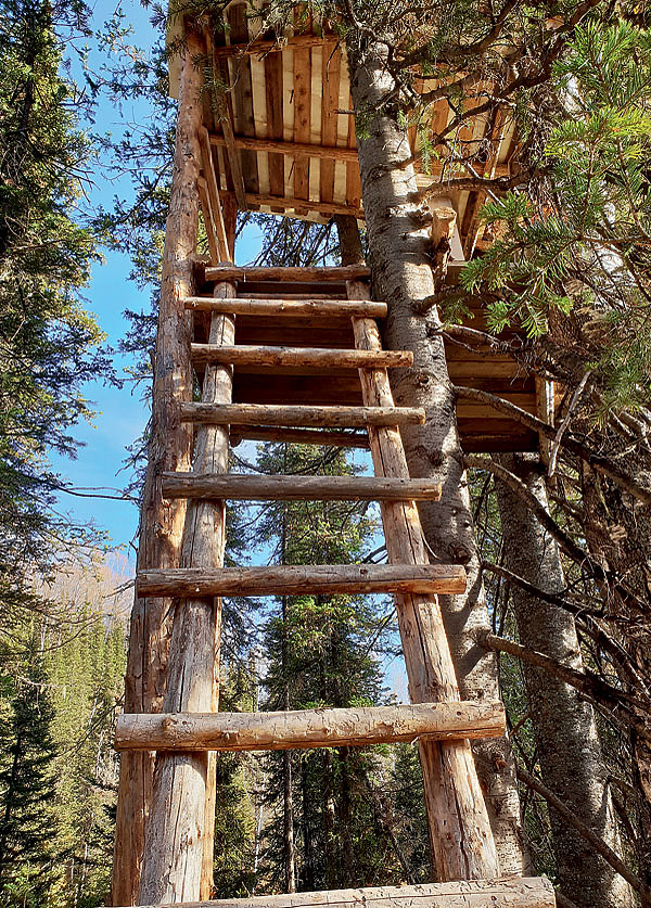 Изображение Вышка-лабаз, как все в этих краях, впечатляет размерами и основательностью. Фото: Роман Полисецкий 