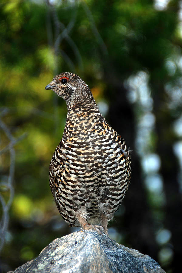 Изображение фото: fotolia.com