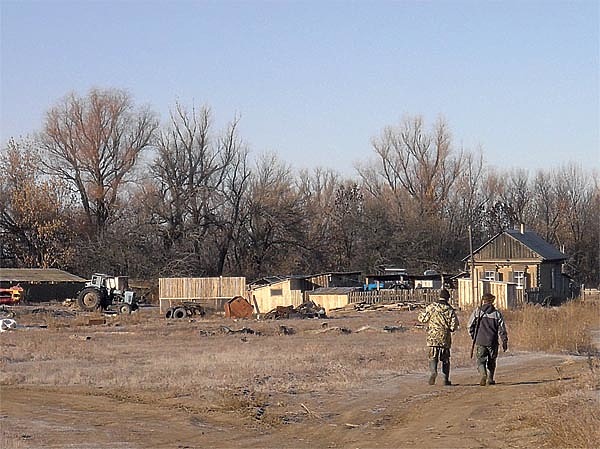 Изображение Прямо за хозяйственными постройками начинались фазаньи угодья. ФОТО ПЕТРА КОЗЛОВА 