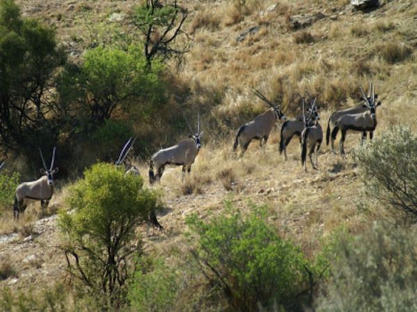 Изображение фото автора 