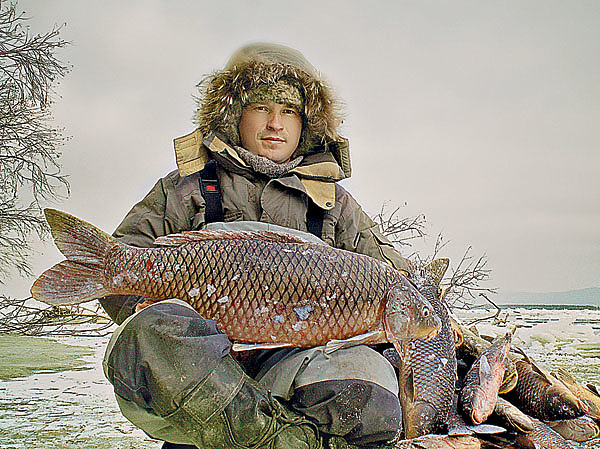 Изображение В прилове вместе с хищниками часто бывает амурский сазан. Фото: Алексей Потехин.