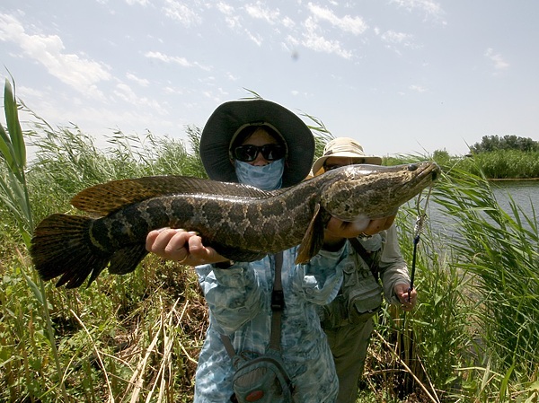 Изображение Достойный экземпляр. Фото: Кузнецова Евгения.