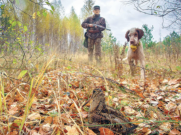 Изображение ФОТО SHUTTERSTOCK 