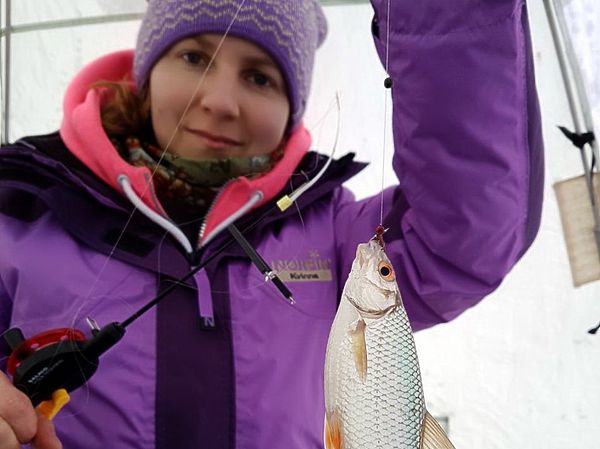 Изображение Ловля зимней плотвы занятие азартное и часто семейное. Фото: Евгений Кузнецов. 