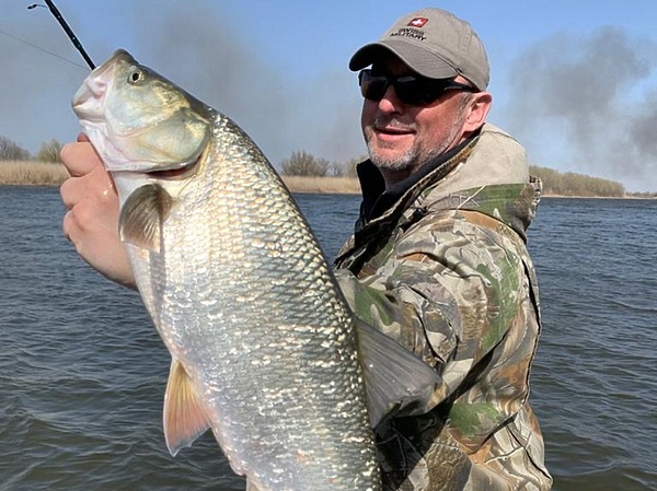 Изображение Жерех желанный трофей для балыка. Фото: Кузнецова Евгения.