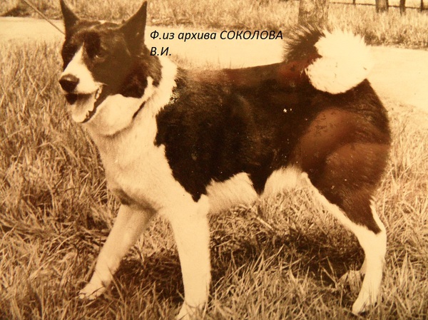 Изображение Вилюй 1648 р.71 от Музгара 1561 и Мухи 1447.Вл.Мечковский Ю.П.