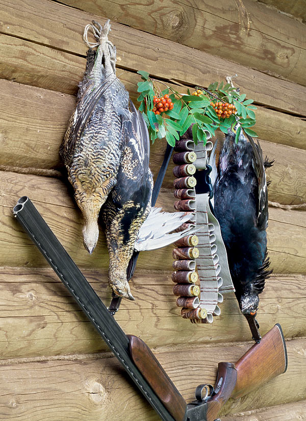 Изображение Фото SHUTTERSTOCK