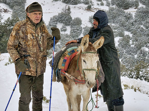 Изображение Фото автора. 