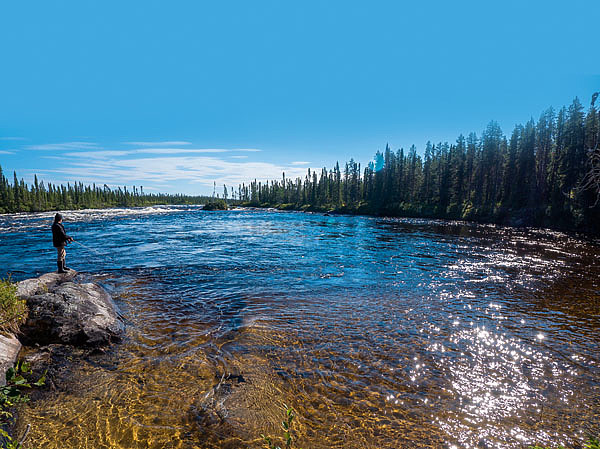 Изображение В многочисленных реках и озерах Хабаровского края рыбалка всегда предсказуемо удачна, потому как еще не извели там природные богатства. ФОТО: shutterstock 
