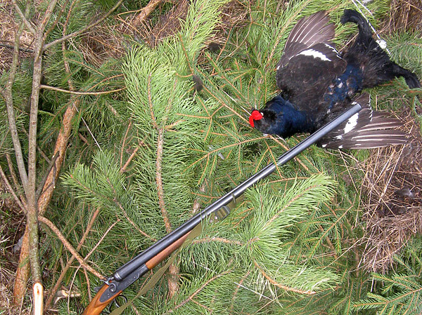 Изображение фото: Семина Михаила 