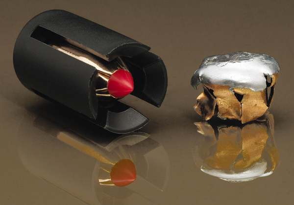 Изображение Контейнерная пуля фирмы Hornady 
SST-Slug. Она обладает хорошей баллистикой и поражающим действием.