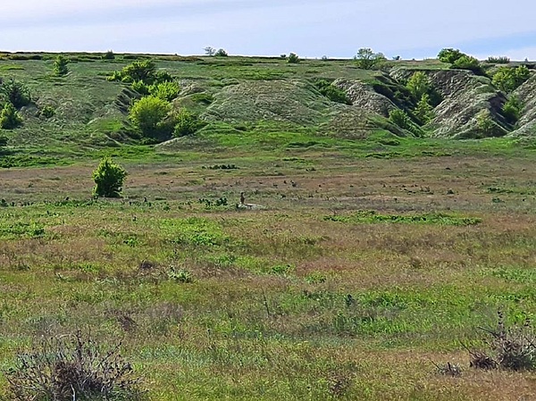 Изображение Фото: Коломийца Алексея. 