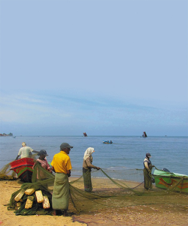 Изображение Путешествуя по побережью Шри-Ланки, я каждый день встречался с местными «тружениками моря», занятие которых весьма почитаемо на острове и считается очень прибыльным делом. 