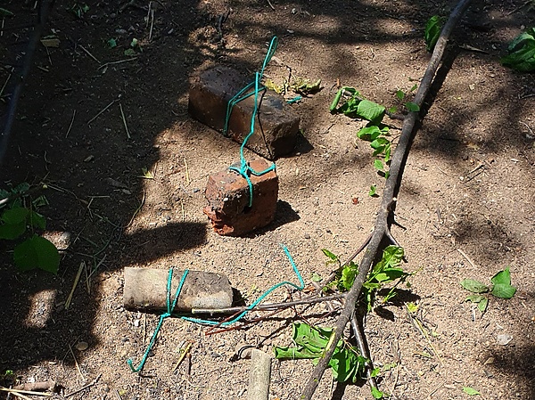 Изображение Вот такие нехитрые приспособления помогут защитить ваш водоем от браконьеров. Фото: Шеляга Геннадия.