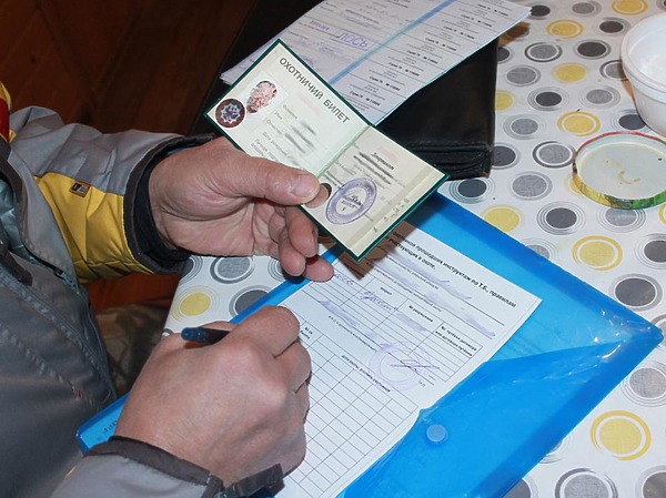 Изображение фото: Романа Матюхина 