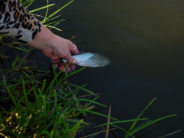 Изображение Фото: Яншевского Андрея.