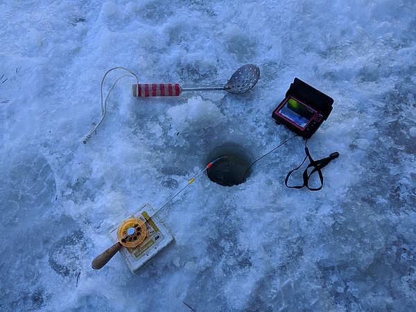 Изображение В поисках нужной лунки. Фото: Трембицкого Алексея. 