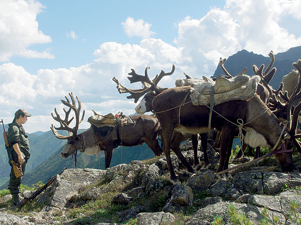 Изображение Каюр родовой общины «Юктэ» Александра Красикова  с вьючными оленями на перевале из верховьев р. Б. Туксани в бассейн р. Сивактыляк. Фото автора.