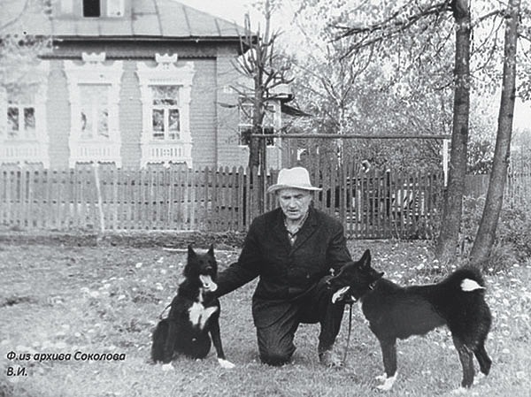 Изображение А.А. Большаков, фото автора.