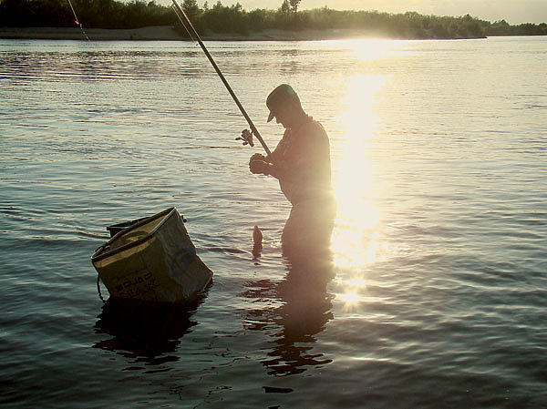 Изображение На перекатах часто приходится рыбачить взабродку. Фото: Николай Линник. 