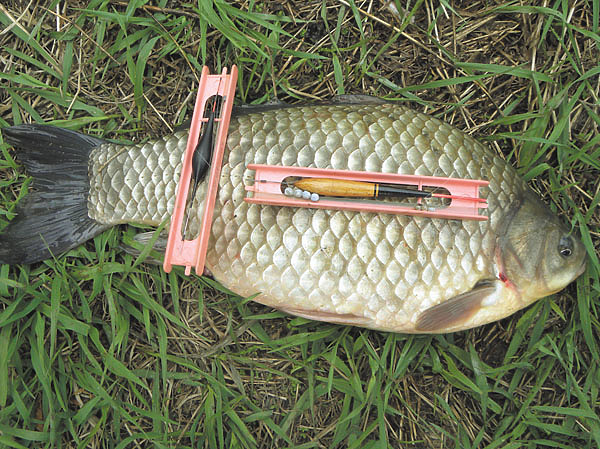 Изображение Фото: Маилкова Анатолия. 