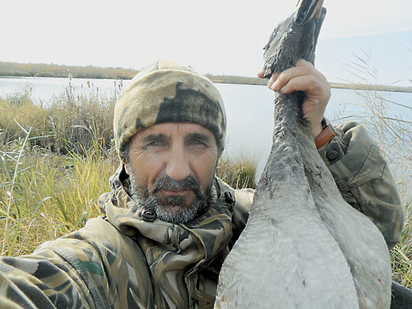 Изображение На территории России встречается несколько видов диких гусей: серый, гуменник, белолобый и белощекая казарка. Существует еще несколько пород гусей, встречающихся в России, но они редкие и промыслового значения не имеют. Осенняя миграция гусей происходит вдоль побережья Арктики, через Карельский полуостров — к Южной Европе и Северной Африке. Через Урал, Калмыкию, Казахстан — к средиземноморью. Основная волна птиц пролетает в период с 28 сентября по 5 октября. ФОТО ИГОРЯ ЛИСУКОНЯ 