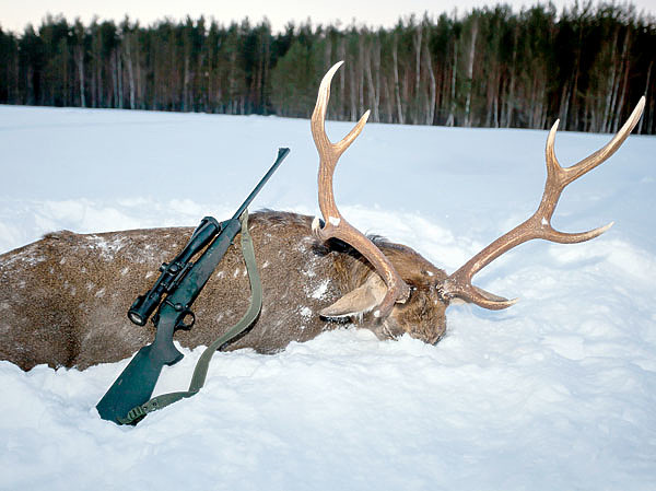 Изображение Собранный самостоятельно патрон увеличивает шанс на результативный выстрел. SHUTTERSTOCK