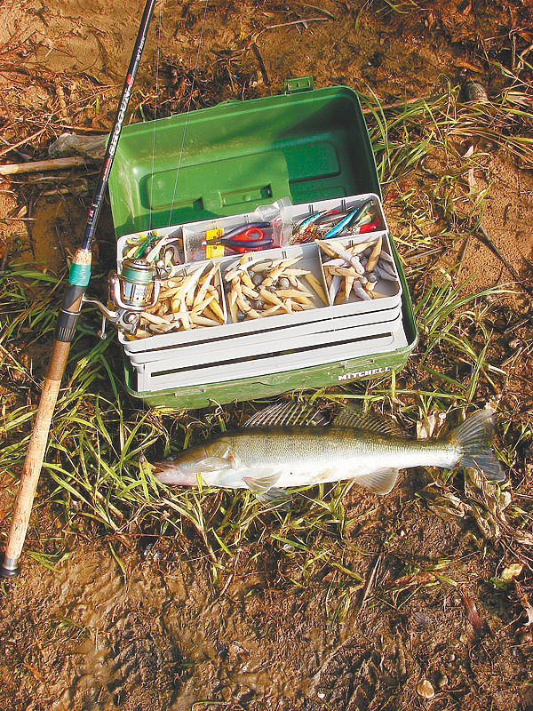 Изображение Фото: Маилкова Анатолия.