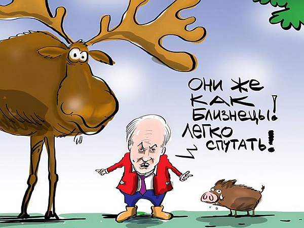 Изображение источник: https://twitter.com