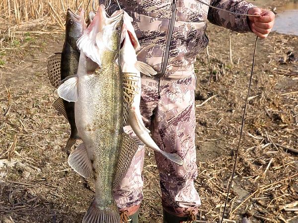 Изображение Двух забрал, остальных раздал дедам. Фото: Алексей Коломиец.