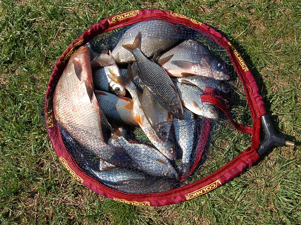 Изображение Фото: Яншевского Андрея.