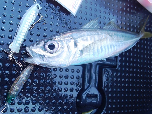 Изображение Фото: Старкова Андрея.