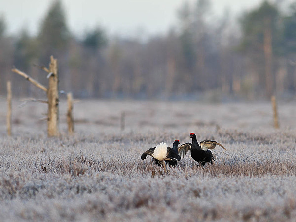 Изображение фото: fotolia.com 