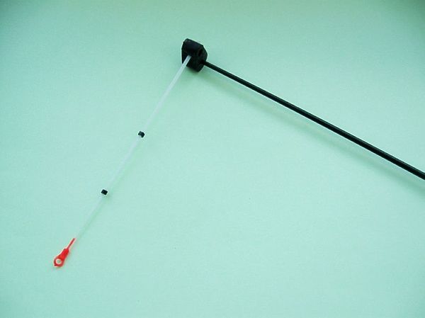 Изображение Фото: Александр Токарев. 