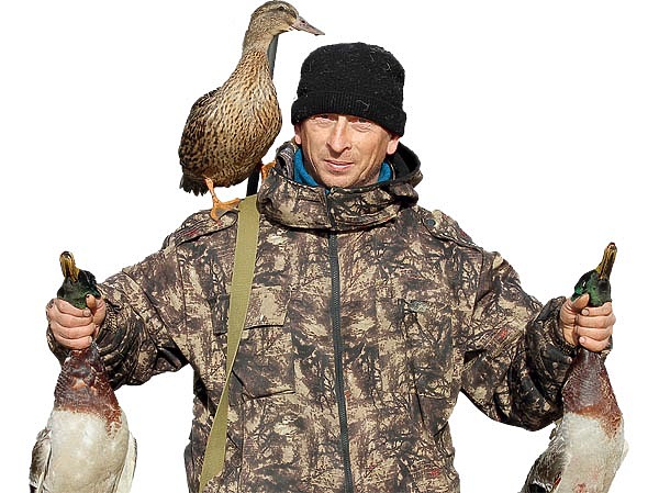 Изображение С рабочей подсадной добыть пару селезней за зорьку не составит труда. ФОТОДМИТРИЯ ВАСИЛЬЕВА