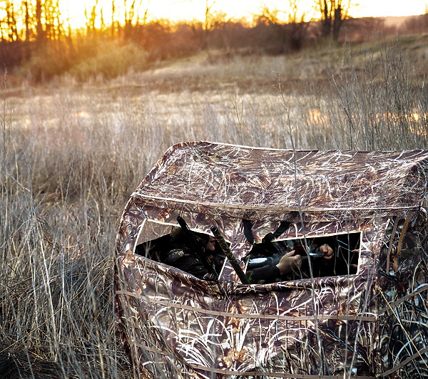 Изображение Все виды диких голубей осторожны, поэтому маскировка 
на охоте ставится во главу угла. 