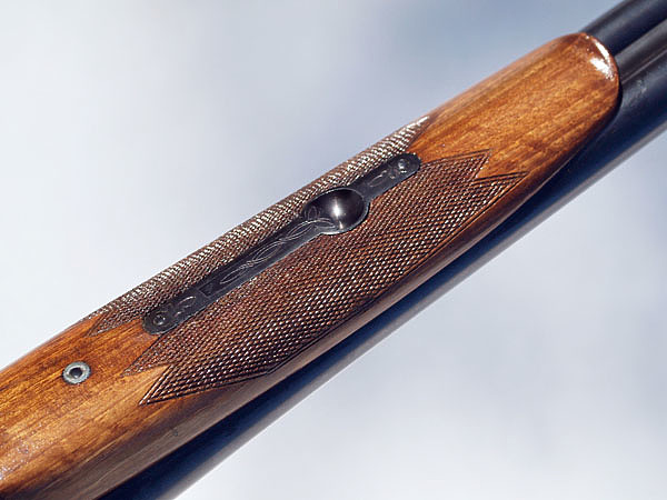 Изображение ФОТО: АЛЕКСАНДР ГУСЕВ 