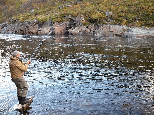 Изображение Фото: Шеляга Геннадия.
