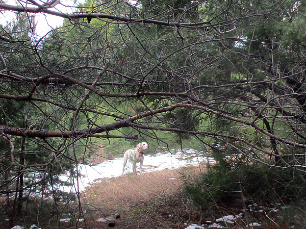 Изображение Фото: Сергея Матвеева 