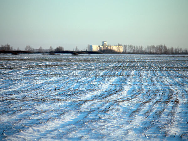 Изображение Фото: Дмитрий ВАСИЛЬЕВ