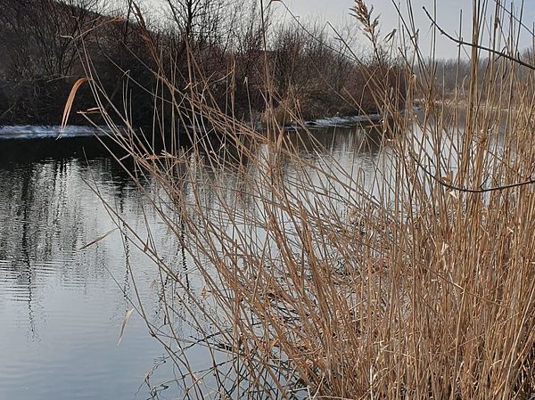 Изображение Места на реке выглядят очень заманчиво. Фото: Геннадий Шеляг.