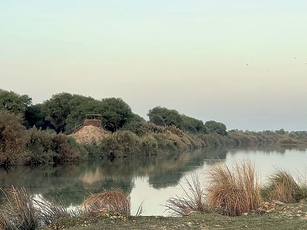 Изображение Воды Инда совершенно меняют природу Пакистана. Фото автора.