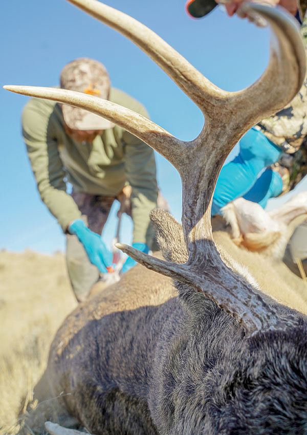 Изображение ФОТО DEPOSITPHOTOS