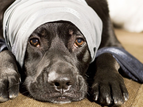 Изображение фото: Fotolia.com 