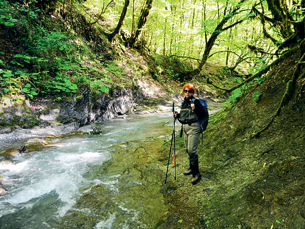 Изображение Фото: Шеляга Геннадия.