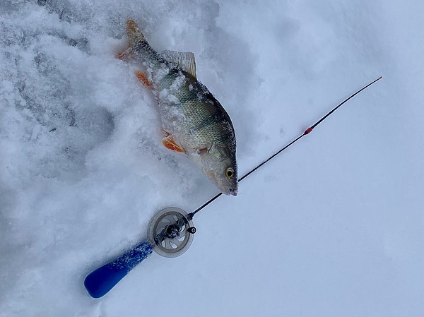 Изображение Фото: Трембицкого Алексея.