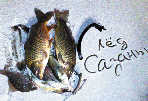 Изображение Знание повадок рыбы и умение двигаться в воде — вот основы успешной трофейной охоты.