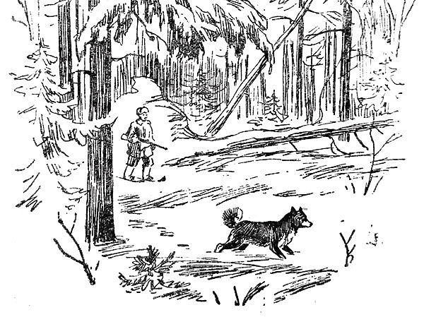 Изображение ИЛЛЮСТРАЦИЯ ИЗ АРХИВА ПАВЛА ГУСЕВА