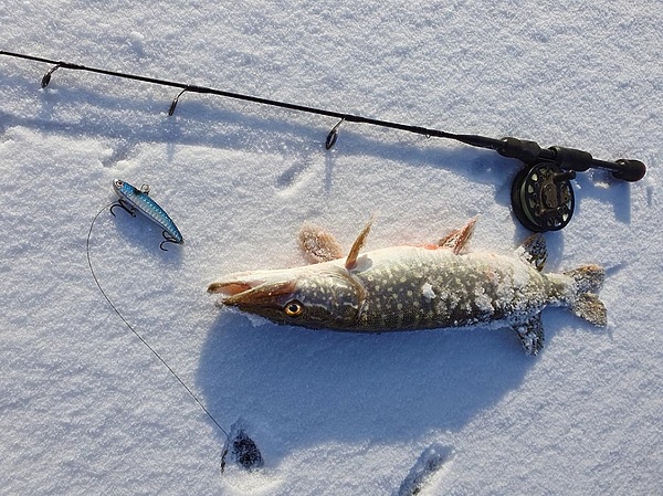 Изображение Фото: Коломийца Алексея. 