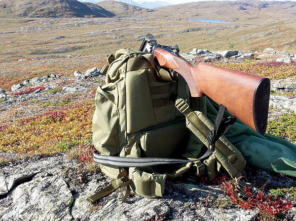 Изображение Фото SHUTTERSTOCK